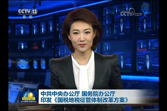 中共中央办公厅、国务院办公厅印发《国税地税征管体制改革方案》